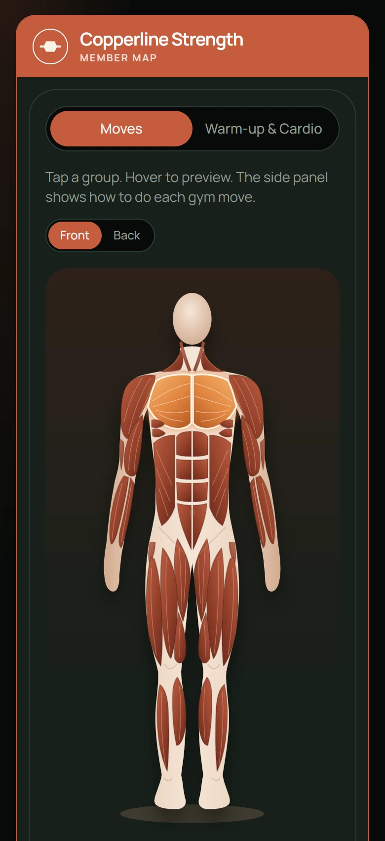 Member map on a phone: the gym's name on top and the full muscle figure, front view